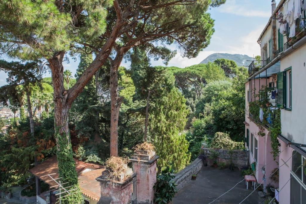شقة Casa Panoramica كاستيلاّماري دي ستا المظهر الخارجي الصورة